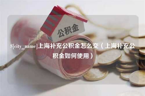 惠州上海补充公积金怎么交（上海补充公积金如何使用）